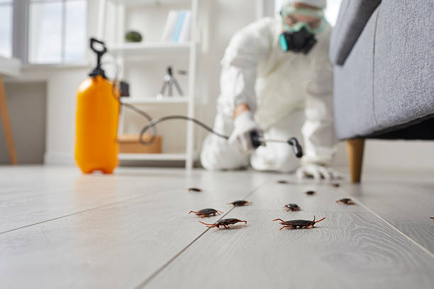 Commercial Kitchen Cockroach Control in Harrisville